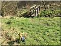 Footbridge over Clydach in Cwm Clydach Community