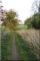 Outer Aylesbury ring footpath in LU7 0QQ
