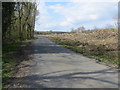 Highfield Lane between Dawland Wood and the felled Ox Stocking Wood in DN6 9BP