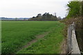 Field by Cheddington road with woodland beyond in LU7 0RL