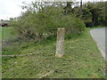 Haveringland Stump Cross in NR10 4PR