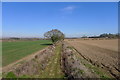 Disused railway track running north from Newton lane in CV13 0QU