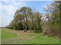 Woodland beside Denham Golf Club in UB9 5DR