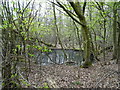 Pond in Birchland Wood in HP9 2BL