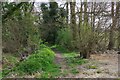Geopark Way entering a wood, near Kinlet, Shrops in DY12 3BJ