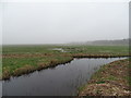 South Walsham Marshes in NR13 6EQ