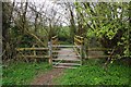 Gate and footbridge over a steam near Kinlet, Shrops in DY12 3BJ