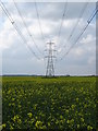 Electric Pylons in CB11 4EY