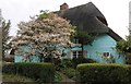Thatched cottage in Allen's Green in High Wych