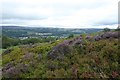 Heather on Ilkley Moor in LS29 8RJ