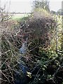 Tributary of Claydon Brook in MK18 3NL