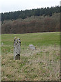 Pitchroy Stone Circle in AB37 9BQ