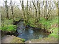 Brockey River at Poole Bottom in TA22 9SA