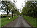 Avenue towards Chalfont St Peter Cemetery in SL9 0LQ