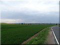 Fields along road in CB11 3YJ