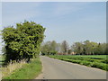 Rhoon Road with Rhoon Farm between the trees in PE34 4LE