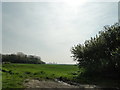 Agricultural land at the southern end of Rookery Lane in PE34 3FR