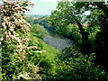 River Swale near Brompton-on-Swale in DL10 7JD