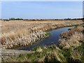 The Fleet and Coatham Marsh Nature Reserve in TS10 5QX