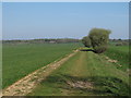 Footpath along Ditch, near Salmond's Farm, Ingrave in CM13 3QW