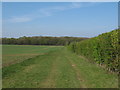 Public Footpath on Field Boundary, Salmond's Farm, Ingrave in CM13 3QS