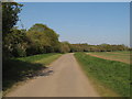 Bridleway on Road near Ingrave Hall, Ingrave in CM13 2JD