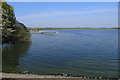 The edge of Pitsford Reservoir in NN6 9WN