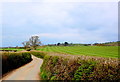 Country Lane Lower Bruckland in EX13 8ST