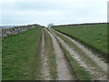 The track to Brushfield in Brushfield