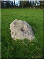 Stone from the Littlemayne Stone Circle in DT2 8LT