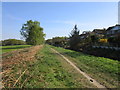 Footpath alongside the Catchwater Drain in LN6 0XT