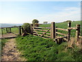 Llwybr ceffyl ger Bryngwyn / A bridleway near Bryngwyn in SA48 7PA