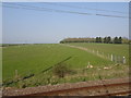 View from a Doncaster-Peterborough train - Fields south of Swayfield in NG33 4LN