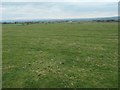 Ridged field, west of Bolam in Bolam