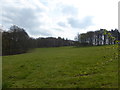 Copses on the hillside in HP22 6EQ