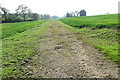 Track through farmland in NN11 2LZ
