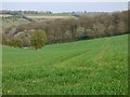 Farmland, Studley Green, Stokenchurch in HP14 4BY