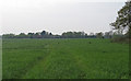 Arable Land near Arnold's Farm, Mountnessing in CM13 1UT
