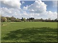 Fields at Baynards Park in GU6 8EE