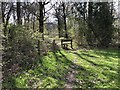 Path approaching woodland in GU6 8EE