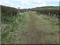 Public bridleway heading north to Bishop Auckland in DL14 9PN