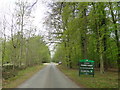 Entrance drive to Thorpe Forest in IP24 2RX