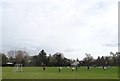 Sports field, Martley in WR6 6BF