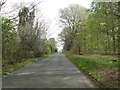 West Harling Road, leaving the Harling Forest in Harling