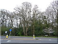Woodland beside Chesham Road in HP6 5PU