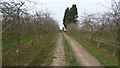 Orchard, Hockham's Farm in WR6 6QQ