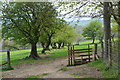Path above the Hope Valley in S33 9JT