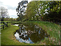 Duck pond - The Greyhound, Milton Malsor in NN7 3AQ