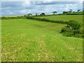 Farmland, Ruanlanihorne in TR2 5NY
