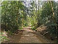 Path in Buchan Country Park in RH11 8GH